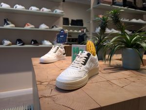 Store Türkenstraße 63  at Shoesforsociety  in Munich