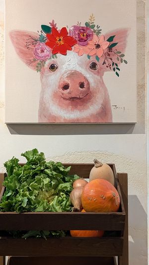 #Veganuary at Streetfood269 - Eschersheimer Landstraße in Frankfurt