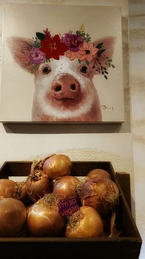  at Streetfood269 - Eschersheimer Landstraße in Frankfurt