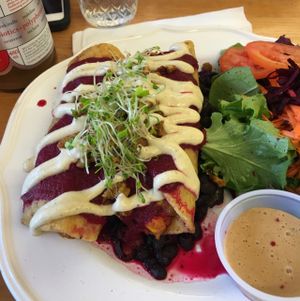 outstanding enchiladas at 24 Carrots in Tempe