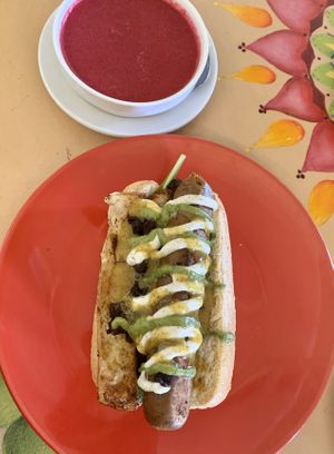 Sonoran dog and beet borscht soup at 24 Carrots in Tempe
