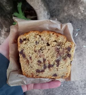 cake 3€ at Le Vert Jet in Ceret