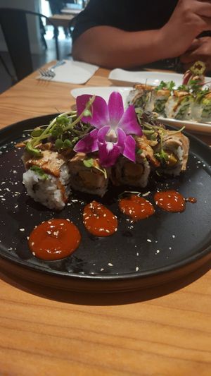  at Village of OM in Sacramento