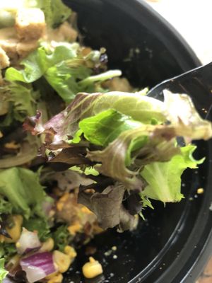 
Avocado bacon Cobb
  at Bad Garden Kitchen in Lancaster