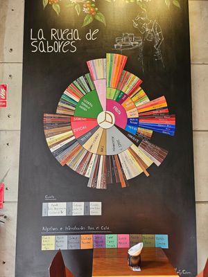  at Casa Barista & Co in Santo Domingo