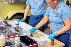  at A Wandering Fire in Saint Croix Falls