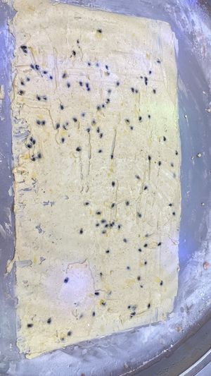   at Siemreap Angkor Ice Cream Rolls in Siem Reap