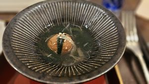 Duck ball in soup at Salloga in Sapporo