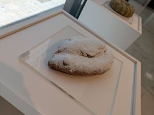 Strudel at Benevola in Barcelona