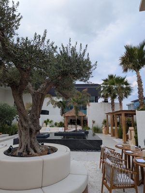 Interior at TAAMA Restaurant in Dubai