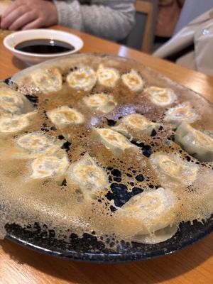 Pan fried dumplings  at KIM KEY in Nanaimo