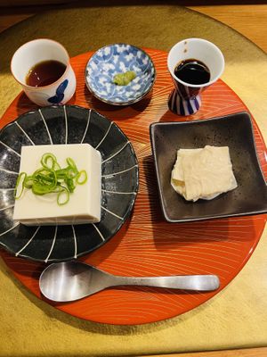 Tofu and yuba   at Vegan Izakaya Masaka (ヴィーガン 居酒屋 真さか)- Kyoto in Kyoto