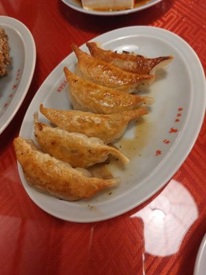 Gyoza (800¥) at Vegan Izakaya Masaka (ヴィーガン 居酒屋 真さか)- Kyoto in Kyoto