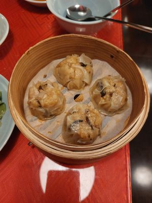 Shumai at Vegan Izakaya Masaka (ヴィーガン 居酒屋 真さか)- Kyoto in Kyoto