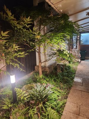  at Vegan Izakaya Masaka (ヴィーガン 居酒屋 真さか)- Kyoto in Kyoto