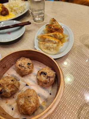 Gyoza and shumai at Vegan Izakaya Masaka (ヴィーガン 居酒屋 真さか)- Kyoto in Kyoto