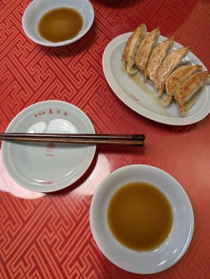gyozas at Vegan Izakaya Masaka (ヴィーガン 居酒屋 真さか)- Kyoto in Kyoto