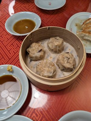 dumplings at Vegan Izakaya Masaka (ヴィーガン 居酒屋 真さか)- Kyoto in Kyoto