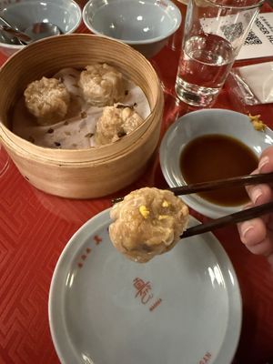   at Vegan Izakaya Masaka (ヴィーガン 居酒屋 真さか)- Kyoto in Kyoto