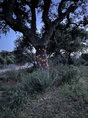 Natura incontaminata   at Rifugio di Miki Pig in Telti