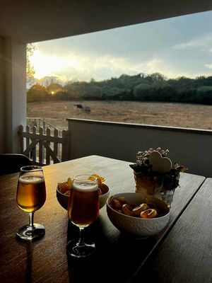  at Rifugio di Miki Pig in Telti
