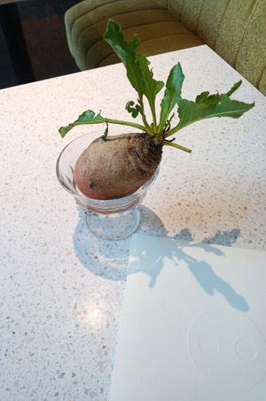 Each table has a different decoration at Schwein in Vienna