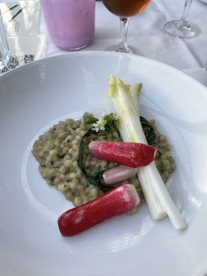 Mushroom pearl barley risotto with wild garlic and chicory   at TestTafel in Amsterdam