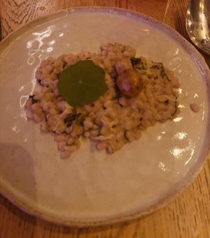 Risotto op z’n best   at TestTafel in Amsterdam