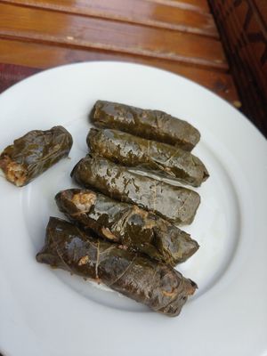 Dolma at Vegan Dünyası Ciğköfte in Berlin