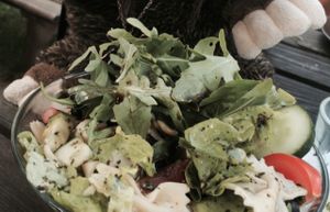 Possum Jackson enjoying a pasta salad at Laibon in Cesky Krumlov