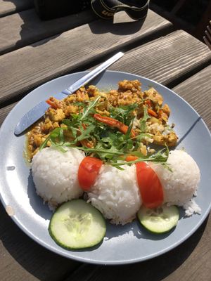 Tokari - vegetable red Curry with tofu, coconut milk served with jasmine rice. Delicious! at Laibon in Cesky Krumlov