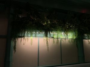 Planters  at Jupiter Supper Club in Austin