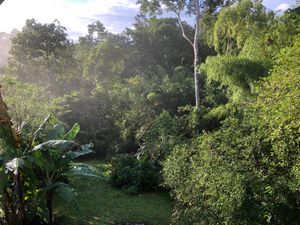  at Yuyo S.R.L in Cocles