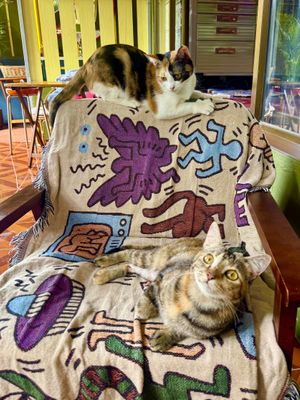 Locals  at STAY GOLD in Koh Phangan