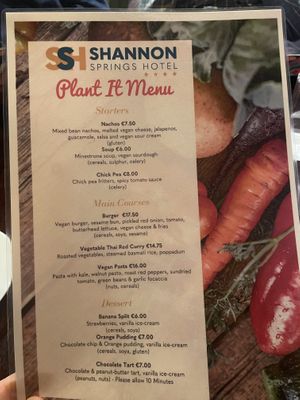 Vegan menu   at Shannon Springs Hotel in Shannon