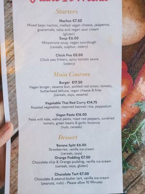 Vegan menu at Shannon Springs Hotel in Shannon
