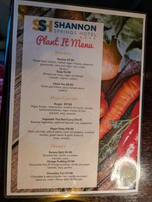 Vegan menu 06/2025 at Shannon Springs Hotel in Shannon