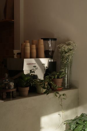  at GAIA's GARDEN in Barcelona