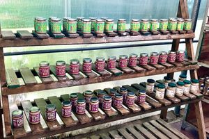 Nut butters at Emirates Bio Farm  in Al Ain