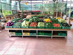 Fresh produce  at Emirates Bio Farm  in Al Ain