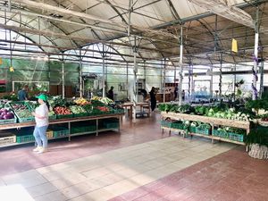 The farm shop  at Emirates Bio Farm  in Al Ain