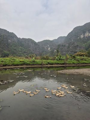  at Toàn Tôn Restaurant in Ninh Binh