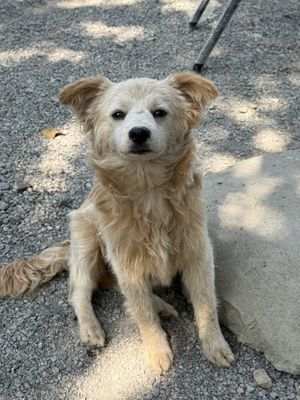   at Toàn Tôn Restaurant in Ninh Binh