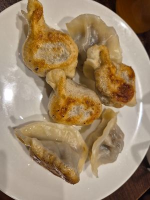 Panfried eggplant dumpling $8.80 (half serve): good amount moist eggplant, not much taste though at Chinese Dumpling Master in Newtown
