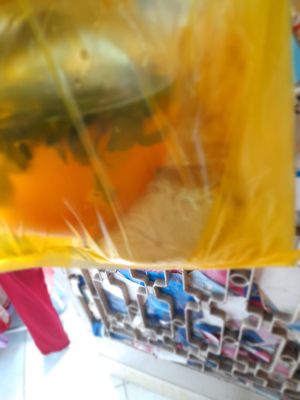 My take away packaging at Quán Chay 37 in Ho Chi Minh City