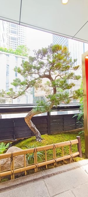  at Qing Chun Po Meng in Shenzhen