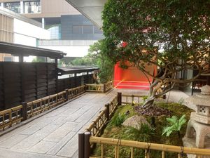  at Qing Chun Po Meng in Shenzhen