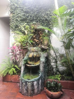 Lunch near a fountain at La Casona Vegetariana in Cali