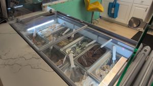 Gelato selection 1 at A1A Scoops in Flagler Beach
