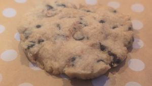 Chocolate chip cookie at A1A Scoops in Flagler Beach